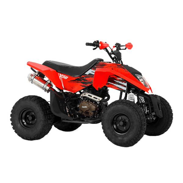 Cuatriciclo Zanella – FX 250 Mad Max