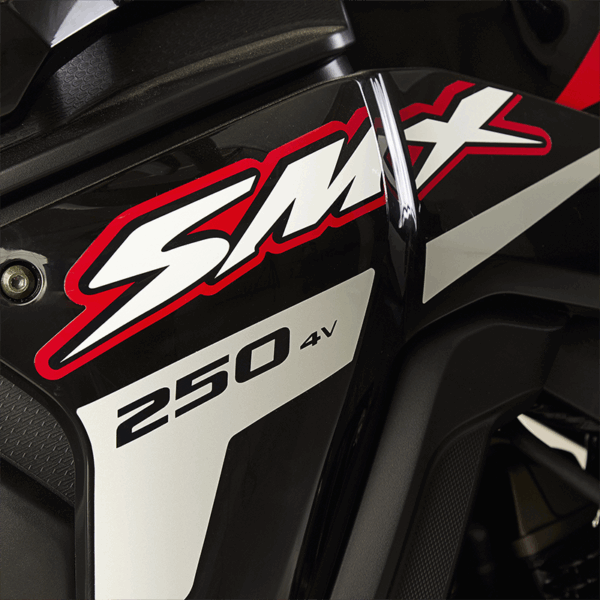 Moto Gilera – SMX 250 Adventure - Imagen 5